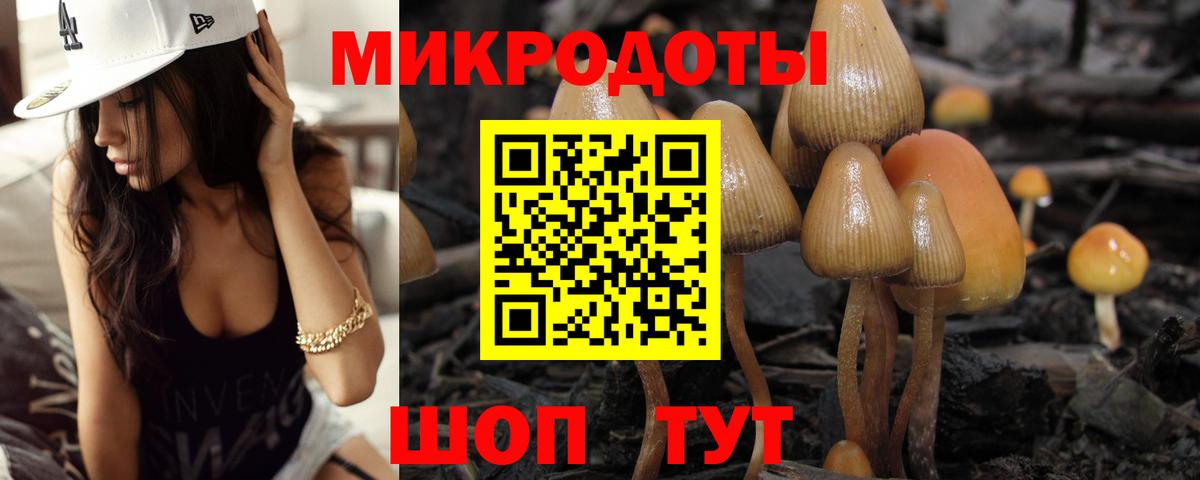 Псилоцибиновые грибы MAGIC MUSHROOMS  Вход с VPN  Курчатов 