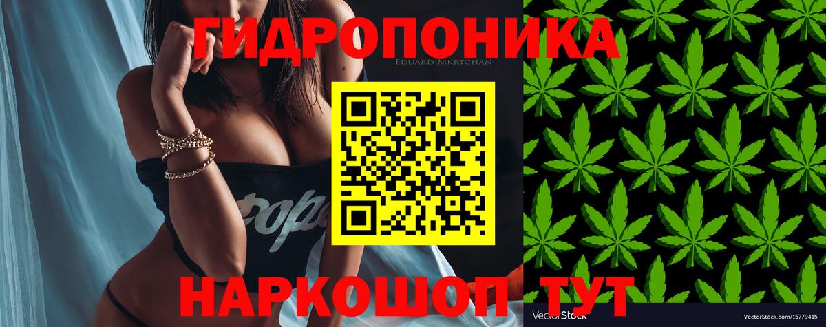 Шишки марихуана марихуана Курчатов